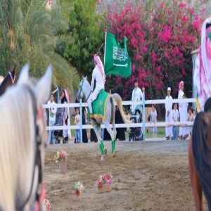 الخيل العربية تزيّن احتفالات اليوم الوطني في الباحة