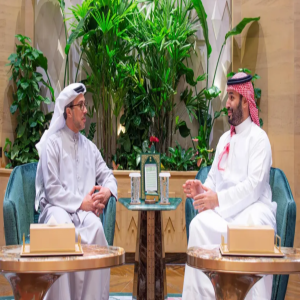 سمو ولي العهد يلتقي الشيخ منصور بن زايد آل نهيان