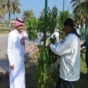 أمانة الشرقية تطلق مبادرة بيئية لتشجير الحدائق العامة بالمنطقة