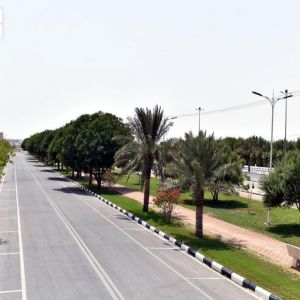 أمانة الشرقية تنسق 45 ألف متر مربع من المسطحات الخضراء بمليجة