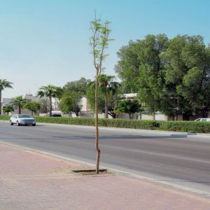 أمانة الشرقية ترفع جاهزية فرق الطوارئ وتصريف المياه بالخفجي