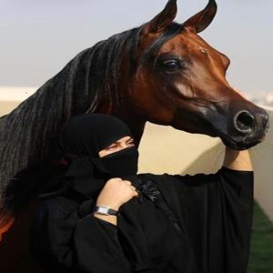 الشاعرة والفارسة  سجى العريجة تتألق في أغنيتها الوطنية الجديدة ( أباهي العالم)