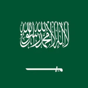 في اليوم العالمي للمدن.. المملكة تتصدر إقليميًا بـ21 مدينة صحية معتمدة من منظمة الصحة العالمية