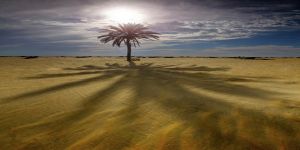 فى دنيانا ..  لاشيءً مستحيلاَ