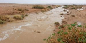 وزارة المياه: الهفوف وثادق الأكثر أمطاراً